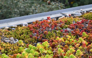 the cost of Knowsthorpe green roof installation