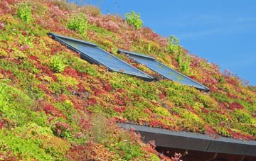 Knowsthorpe living roof systems