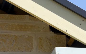 soffit repair Knowsthorpe